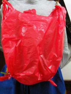 bag pack1